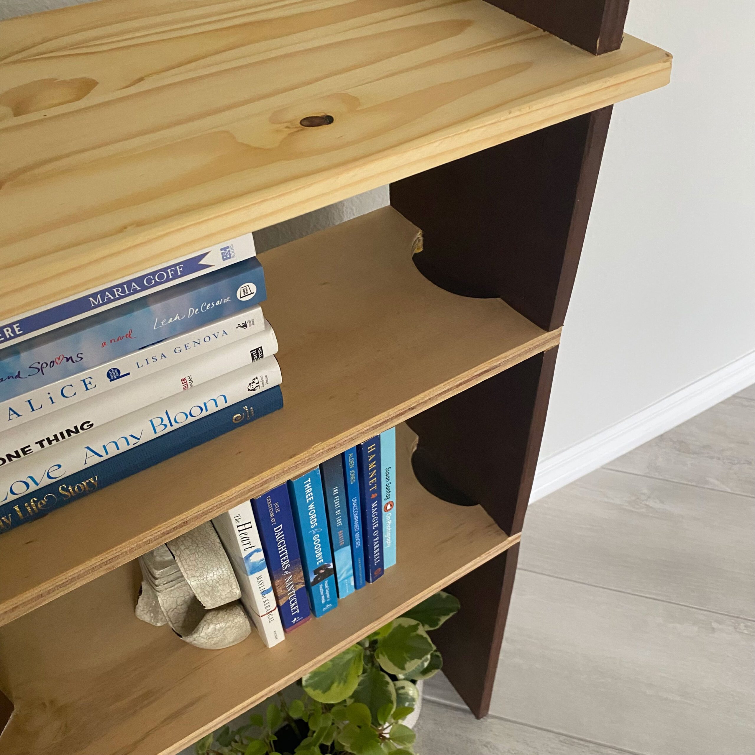 detail shot of inside of shelves
